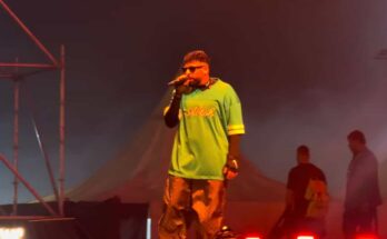 Badshah Concert London